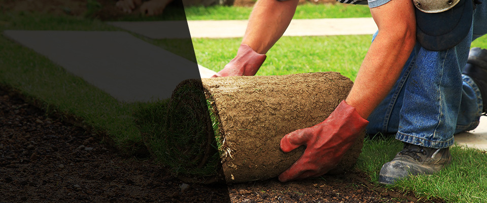Syracuse Landscapers